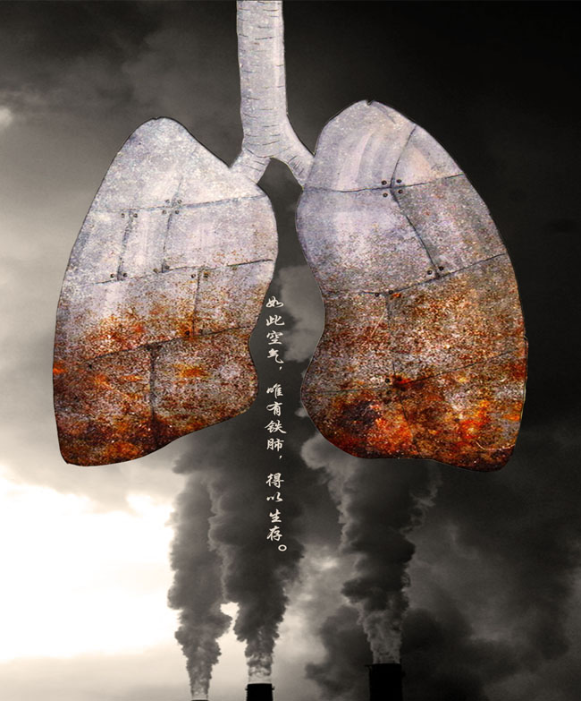 问鼎娱乐