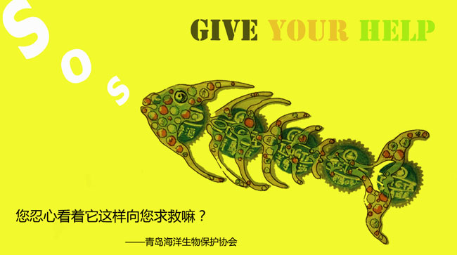 问鼎娱乐