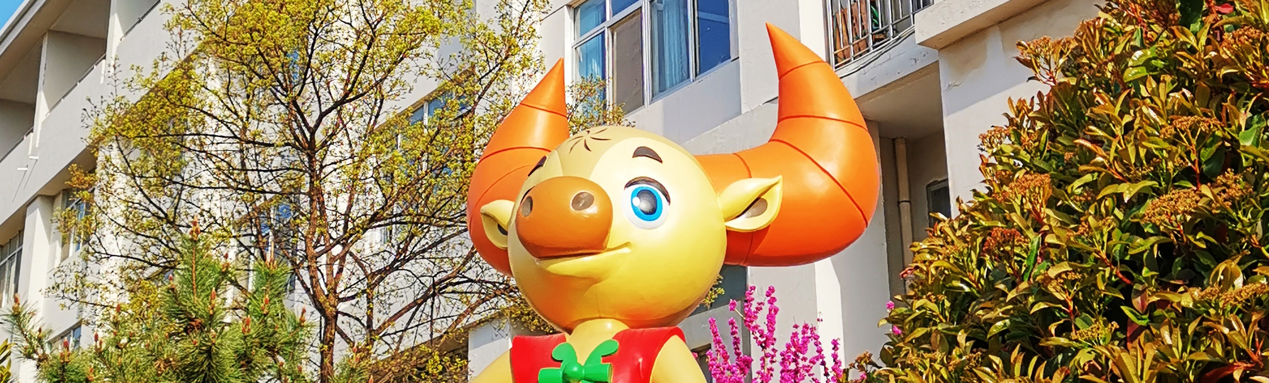 问鼎娱乐
